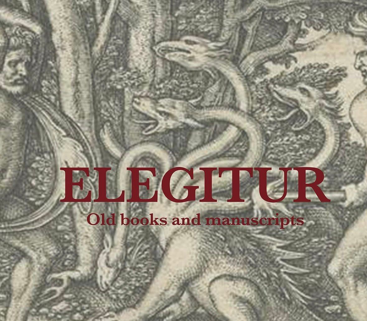 Elegitur Logo